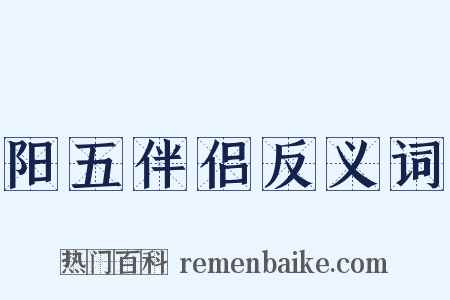 阳五伴侣反义词是什么意思的图片